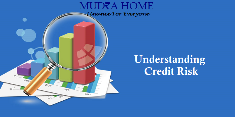 Understanding Credit Risk