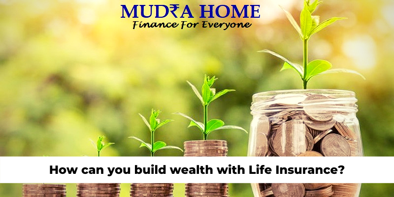 How can you build wealth with Life Insurance?
