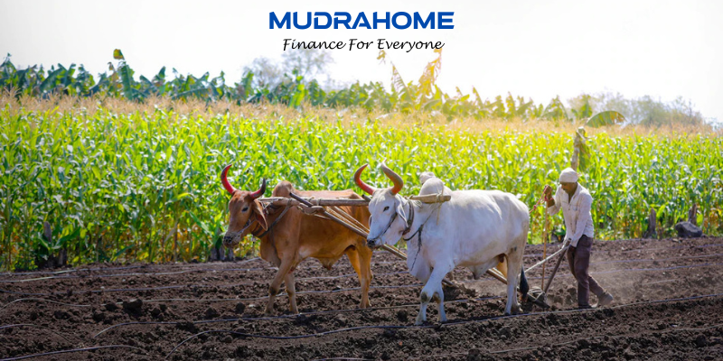MSP policy has not helped most farmers