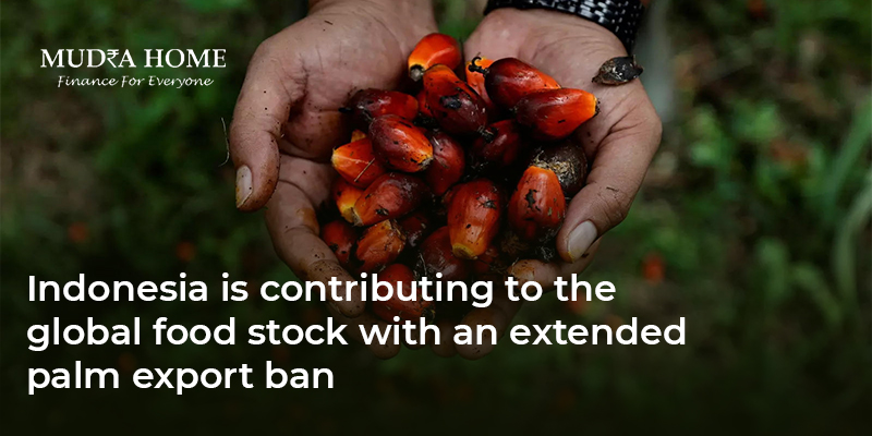 Indonesia is contributing to the global food stock with an extended palm export ban